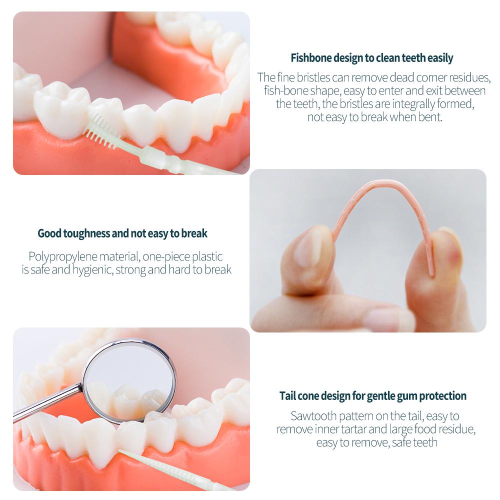100 pièces Fil dentaire double tête Cure-dents interdentaires Bâtonnets pour les dents Nettoyage des dents Soin bucco-dentaire Brosse interdentaire