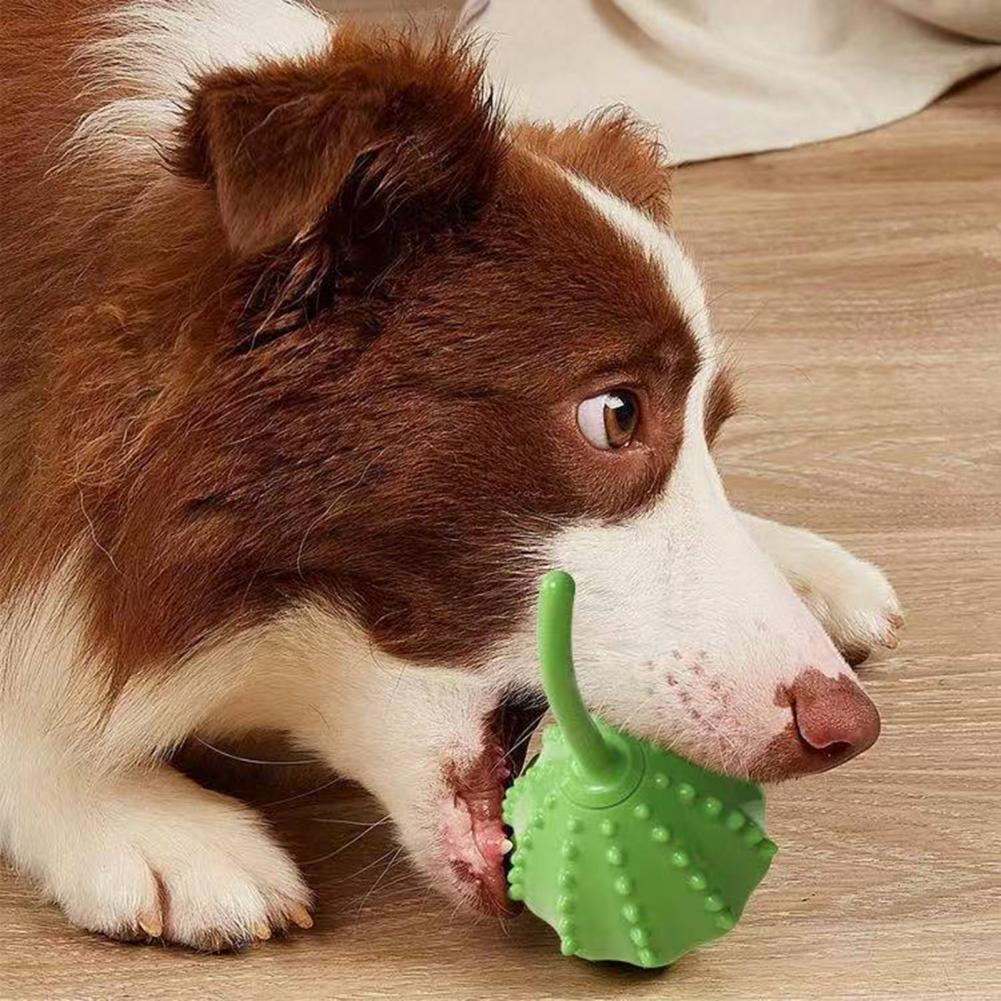 Dog Treat Dispenser for Molar Health Dog Toy Lotus Fruit Treat Dispensing Dog Toy for Mental Stimulation Teeth Molar for Dogs