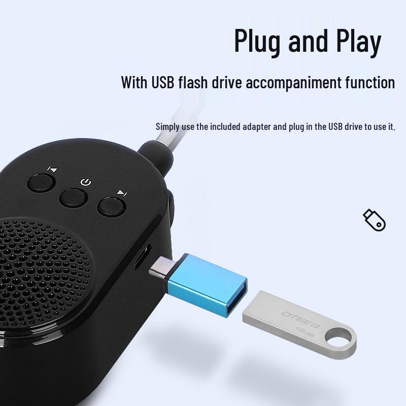 Bluetooth Mini Amplifier Speaker for Electric Wind Instruments with USB Flash Drive