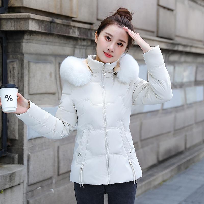 Winter Baumwollgepolsterte Jacke Damen Baumwollgepolsterte Jacke Kurzer Pelzkragen Baumwollgepolsterte Jacke Damen Warme und Kältebeständige Gepolsterte Jacke Jacke