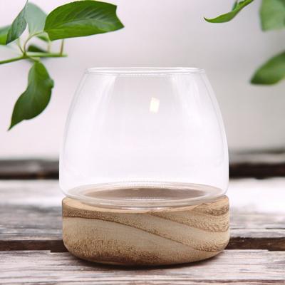 Mini Terrarium na Naturalnym Drewnie Tungowym