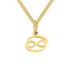 Gold-Plated Stainless Steel Zodiac Pendant Necklace for Women