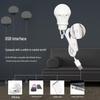 5V USB-Powered Low-Voltage LED Bulb for Power Banks and Outdoor Use