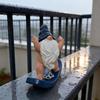 Middle Finger Gnome Figurine Funny Resin Naked Gnome Statue for Garden Home Office Decor Naughty Gifts for Men Women