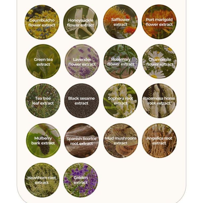 ROBLUE - Mildly Acidic Scalp Cleansing Perfume Shampoo Jumbo - 2 Types