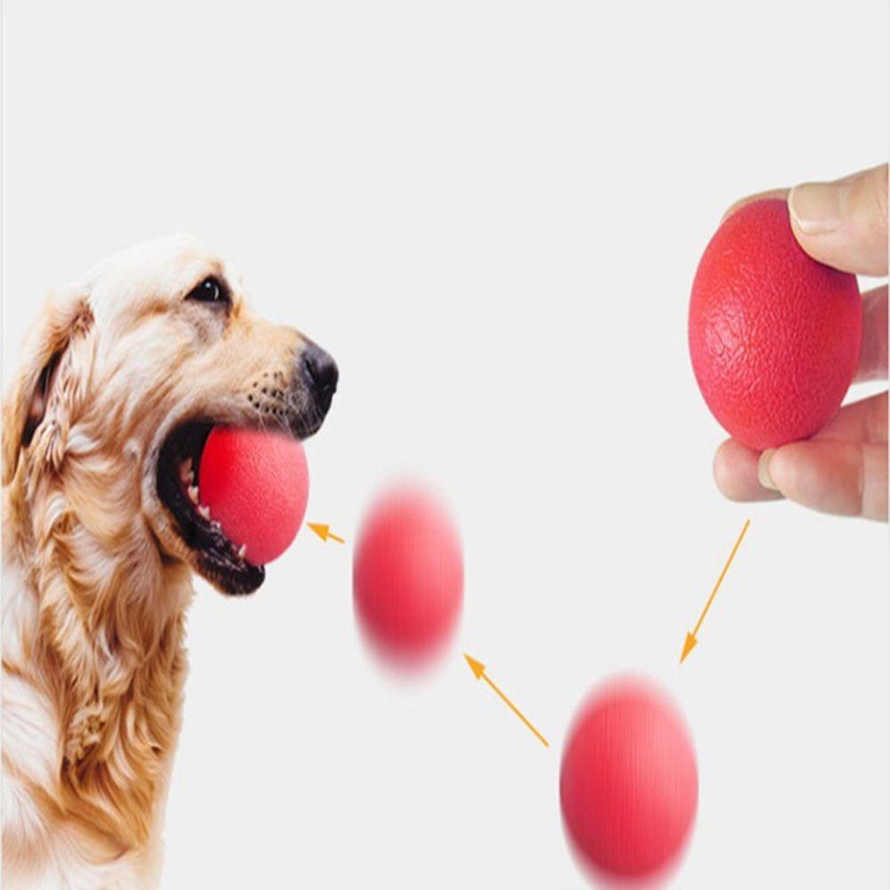 Widerstandsfähiges Haustierzubehör Hundetraining Hüpfbälle Haustier Mahlzahn Hundegummiball Kauspielzeug