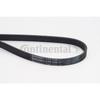 CONTITECH Courroie Striée 5PK1230