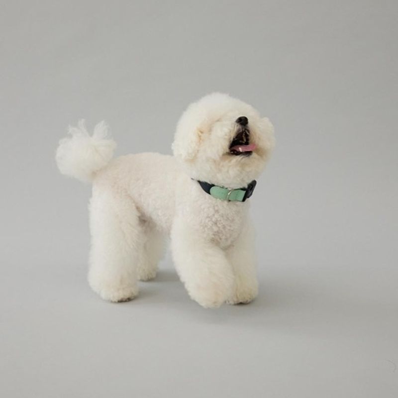 GOPE GOPE Picture Dog Collar MINA