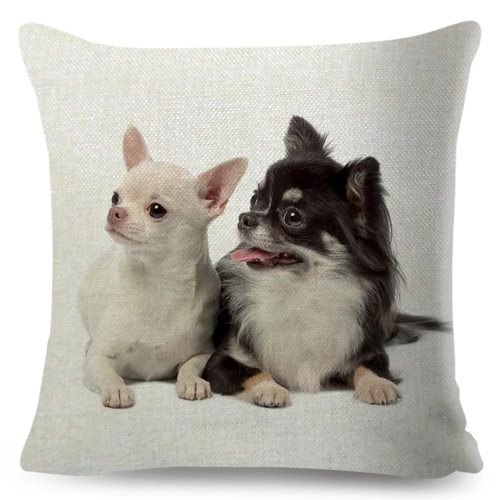Niedlicher Kleiner Hund Chihuahua Kissenbezug Deko Liebes Haustier Tier Kissenbezug Polyester Überwurf Kissenbezug für Sofa Zuhause Auto 45x45cm