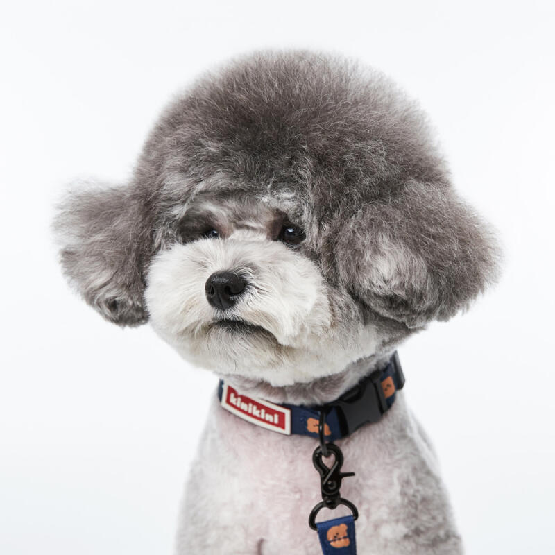 [Earp EarpXKINIKINI]DOT FLOWER BEAR COLLAR-NAVY