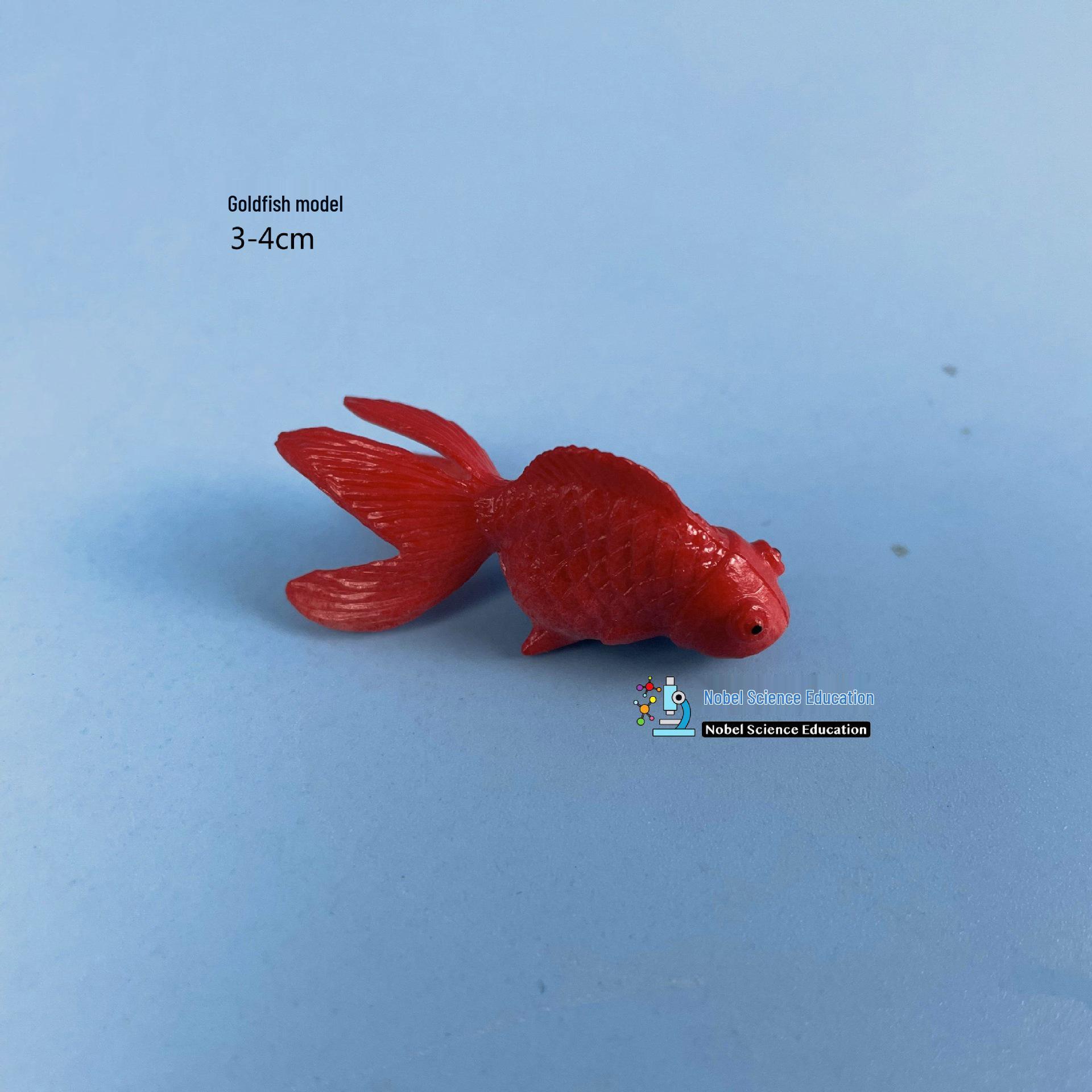 Goldfish Observation Model - 3cm Experimental Fish Tank Material