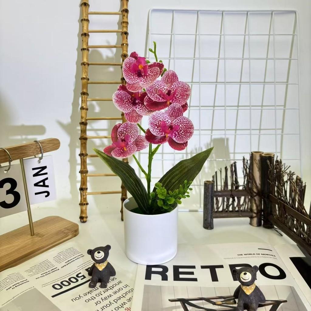 Artificial Plastic Phalaenopsis Flower Bonsai For Event Decoration Home Styling