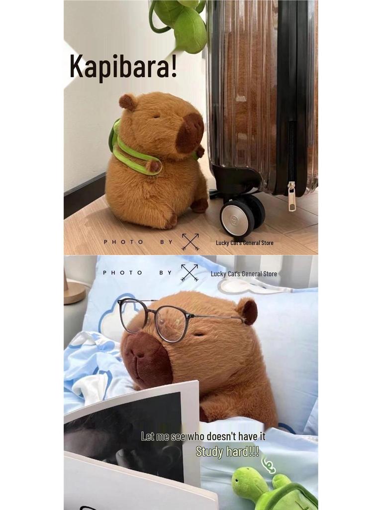 Capybara Plush Toy: Cute and Ugly Doll Gift for Men and Women Birthdays