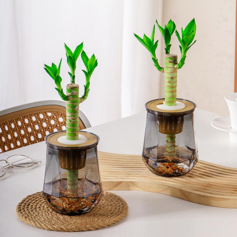 Mini samozavlažovací květináč Nádrž na ryby Průhledné plastové květináče Samozavlažovací květináč Váza pro domácí dekoraci