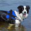 Hundegeschirr Reflektierendes Hundegeschirr Kleine Mittelgroße Hunde Bequemes Sicheres Haustiergeschirr Zubehör Hundezubehör