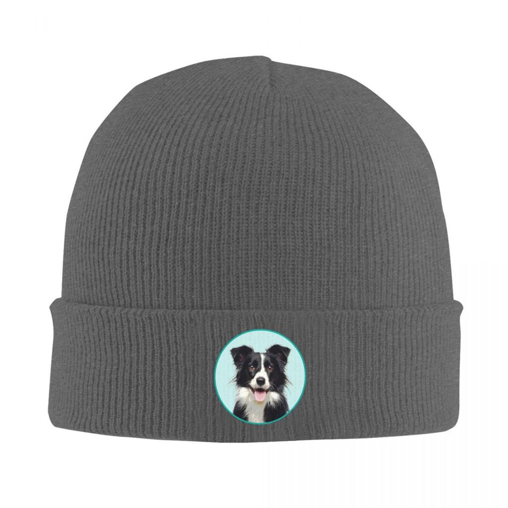 Cute Border Collie Dog Warm Knitted Cap Winter Knit Bonnet Hat Skullies Beanies Hip Hop Caps for Unisex