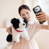 40/50CM Four Colours Border Collie Collar Style Plush Toys Soft Stuffed Puppy Doll Funny Accompany Toys for Kids Gifts