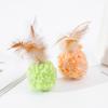 Cat Toys Collection Featuring Feather Mice And Rattling Balls For Fun And Exercise