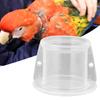 Pet Parrot Anti Bite Picking Feather Wound Healing Protective Neck Cover Collar for Bird