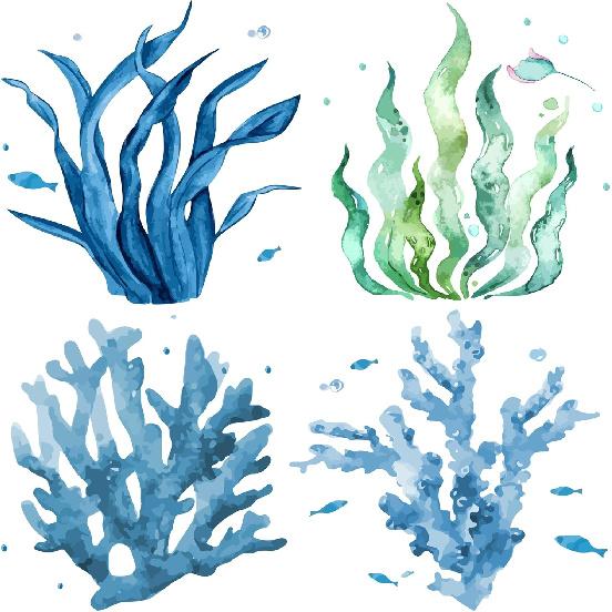 GORGECRAFT 4 Styles Sea Animals Window Decals Static Glass Sticker Turtles Seahorses Whales Jellyfish Pattern Window Clings Film Bedroom Bathroom