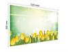 SZKLANA DESKA DO KROJENIA 52x30 TULIPANY