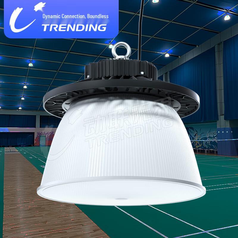 Indoor LED Sports Arena Lighting Fixture 100W