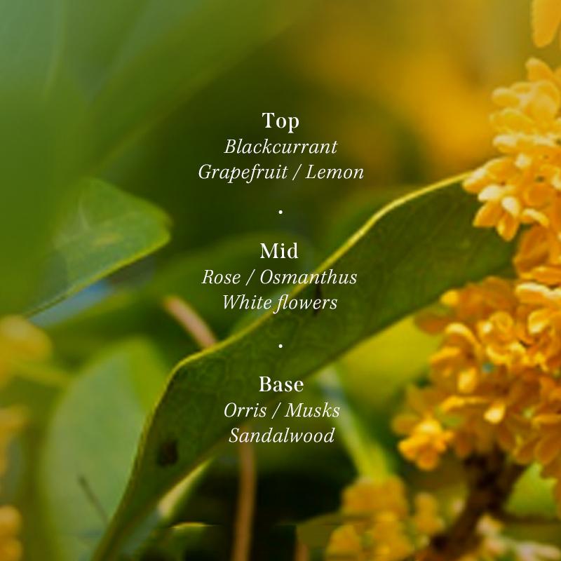 [Lador] Perfumed Hair Treatment SET 380ml