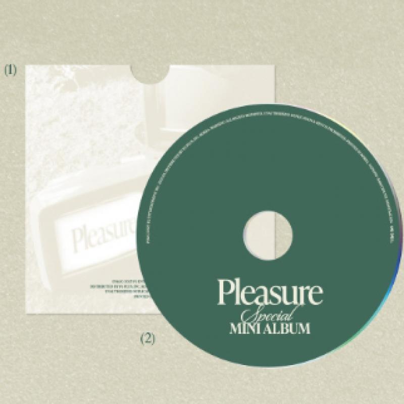 Treasure   Pleasure   Special Mini Album