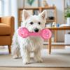 Dog Cotton Rope Chew Toy Rope Toy with Dumbbell Shape Textured Balls Interactive Puppy Teething Toy