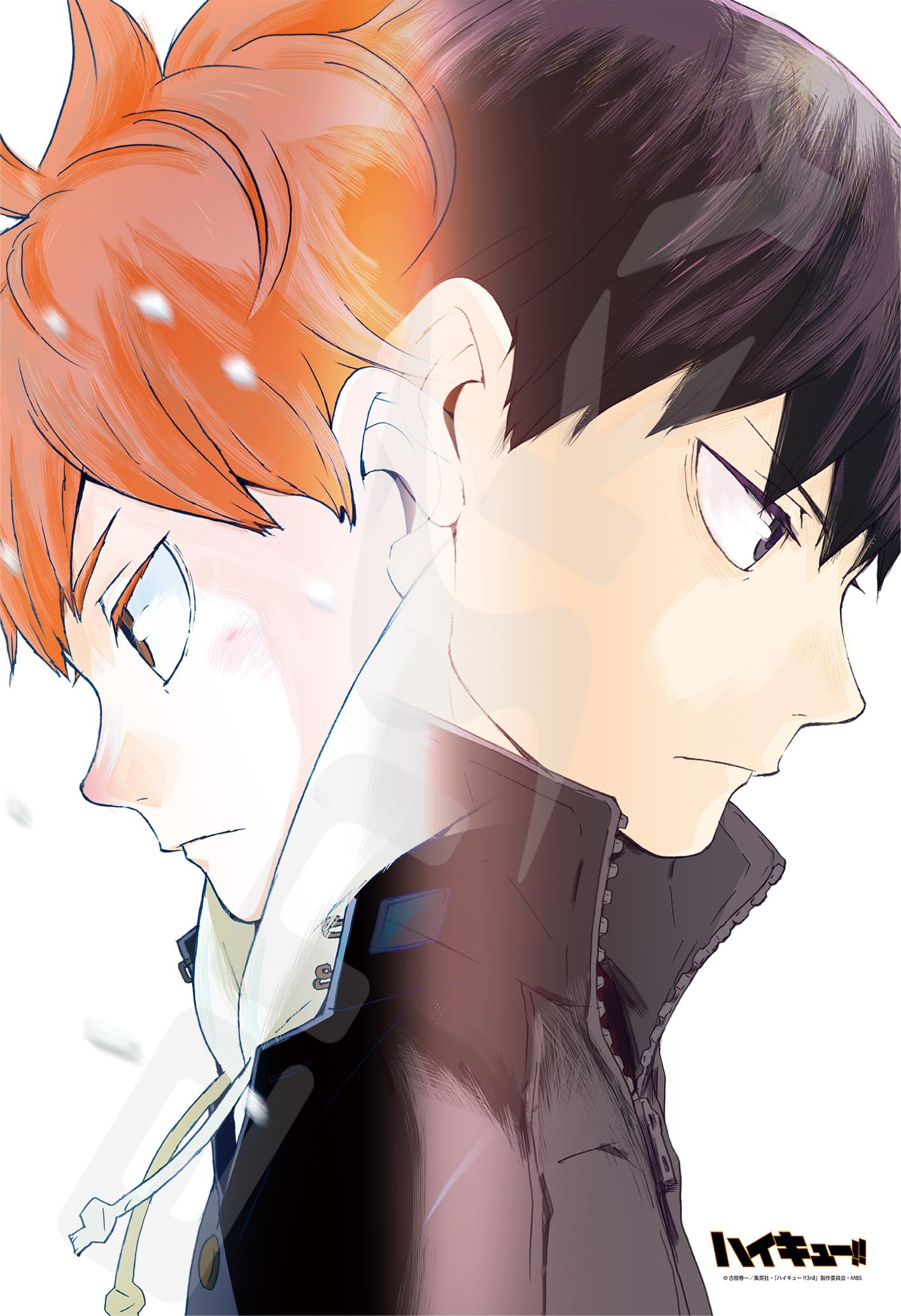 

Ensky Решимость 26 x 38 см Пазл 300 деталей ПАЗЛ Haikyu!! Two s 300-1532
