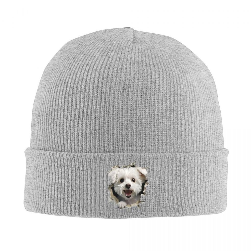 Breaking Through Cute Dog Warm Knitted Cap Winter Knit Bonnet Hat Skullies Beanies Hip Hop Caps for Unisex