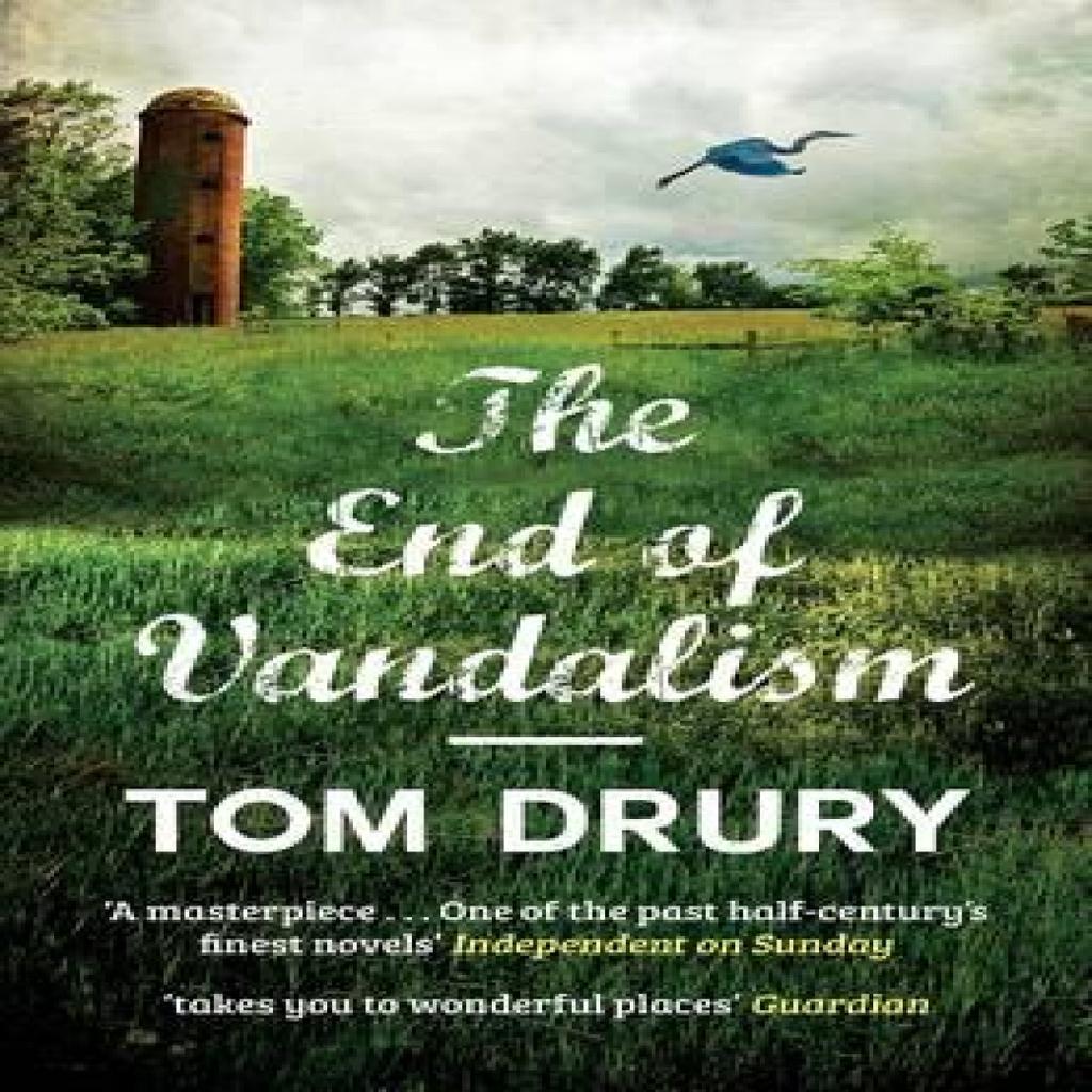 End of Vandalism by Tom Drury Paperback Book 9781910400296