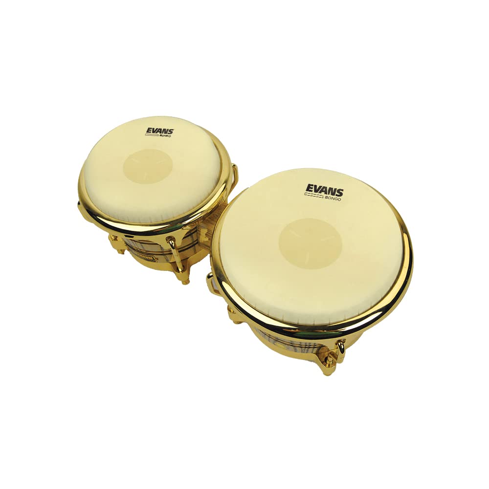 EVANS Tri-Center Bongo Head 7-1/4" EB07 [Domestic Genuine Product]