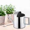 Arrosoir inox 300 ml AIMOONSA - bec long pour bonsaï, plantes d'intérieur et jardin