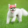 Puppy with Ear Holes Adjustable Chin Strap Baseball Cap Sun Protection Dog Visor Hats Sunbonnet