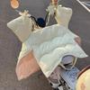 All-Season Electric Car Windshield Cover: Extra Large, Thick, Double-Sided & Waterproof with Side Wings