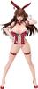 Shinobi Master Senran Kagura NEW LINK Toki Bunny Scale Magnetic Plastic Finished Figure Ver. 1/4 & Pre-painted