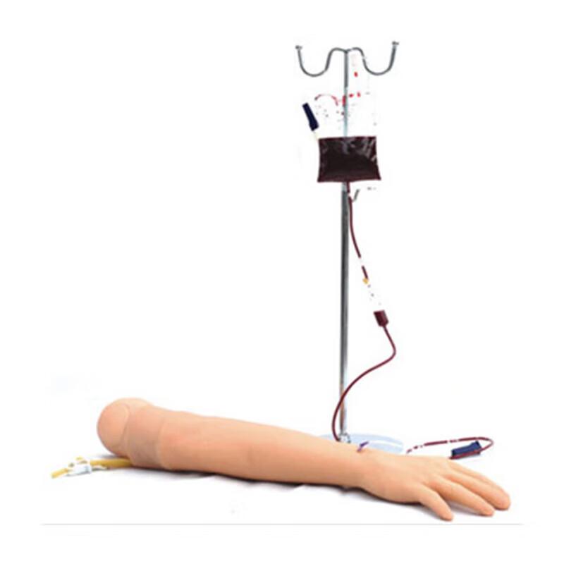 Venous Infusion Training Model