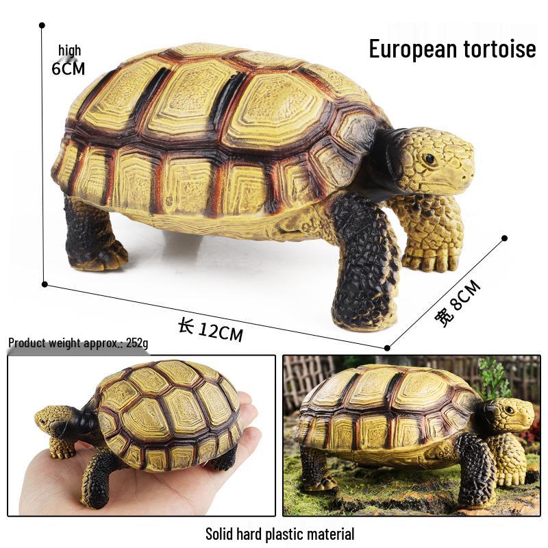 Children's Cognitive Marine Animal Models: Sea Turtle and Tortoise Toys