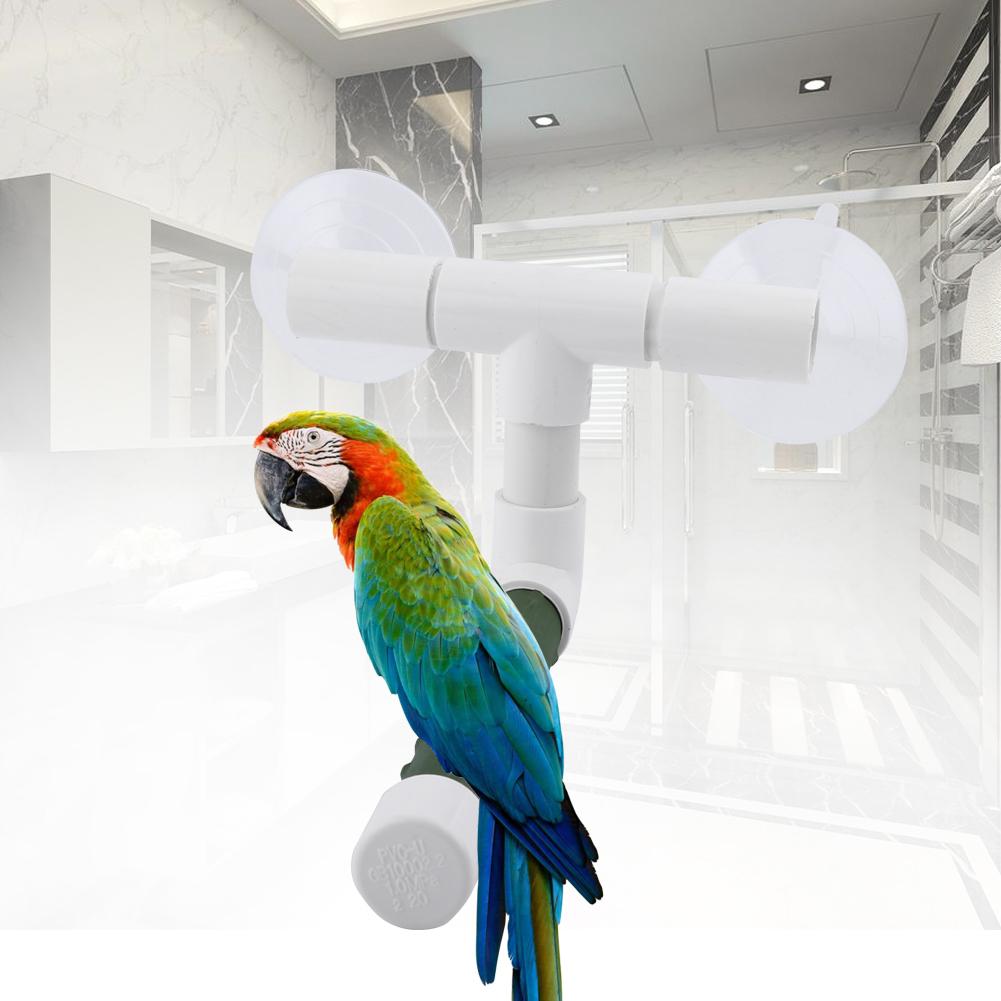 Bird Perches Budgie Foldable Suction Cup Window Shower Bath Wall Grinding Stand Toy