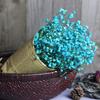 Natural Dried Flower Babys Breath Home Decor Natural Dried Flower Full Stars