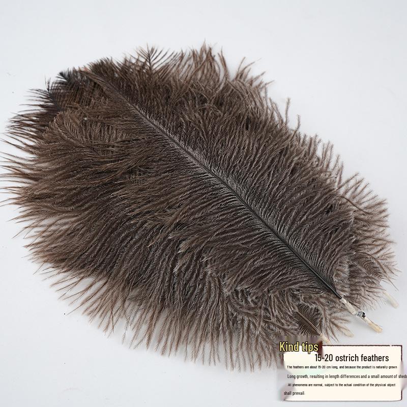 Large 15-20cm Ostrich Feathers for Wedding Arrangements and Stage Props