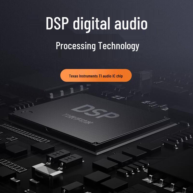 Shanshui 95E 5.1 Home KTV Karaoke Audio System