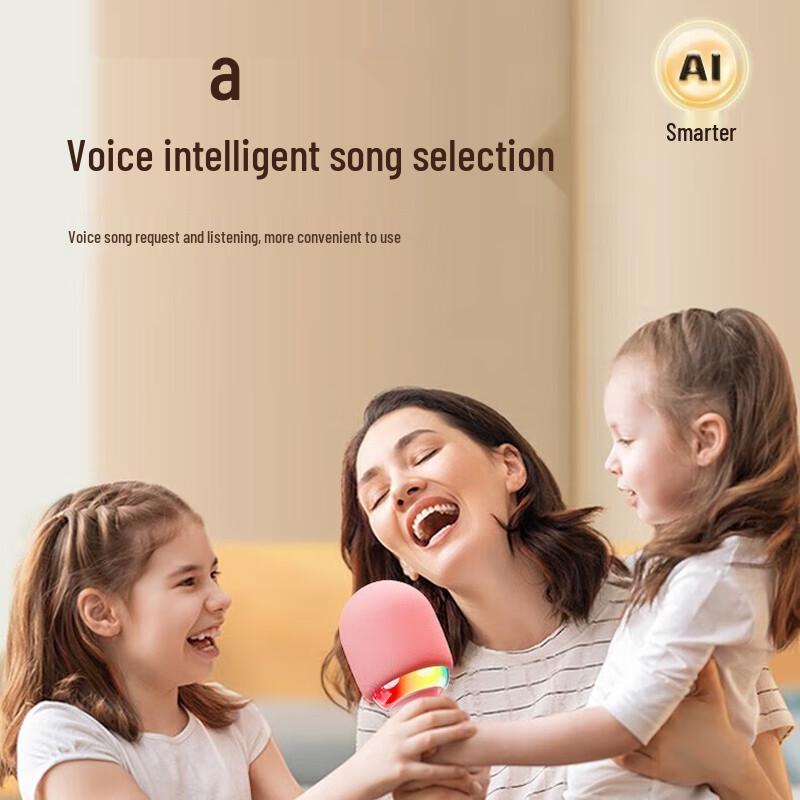 Jinyun L8 KTV Microphone Speaker CN plug (adapter included) (CN version)