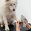 Pet Nail Ile  Cats And Dog Nail Sharpening Board