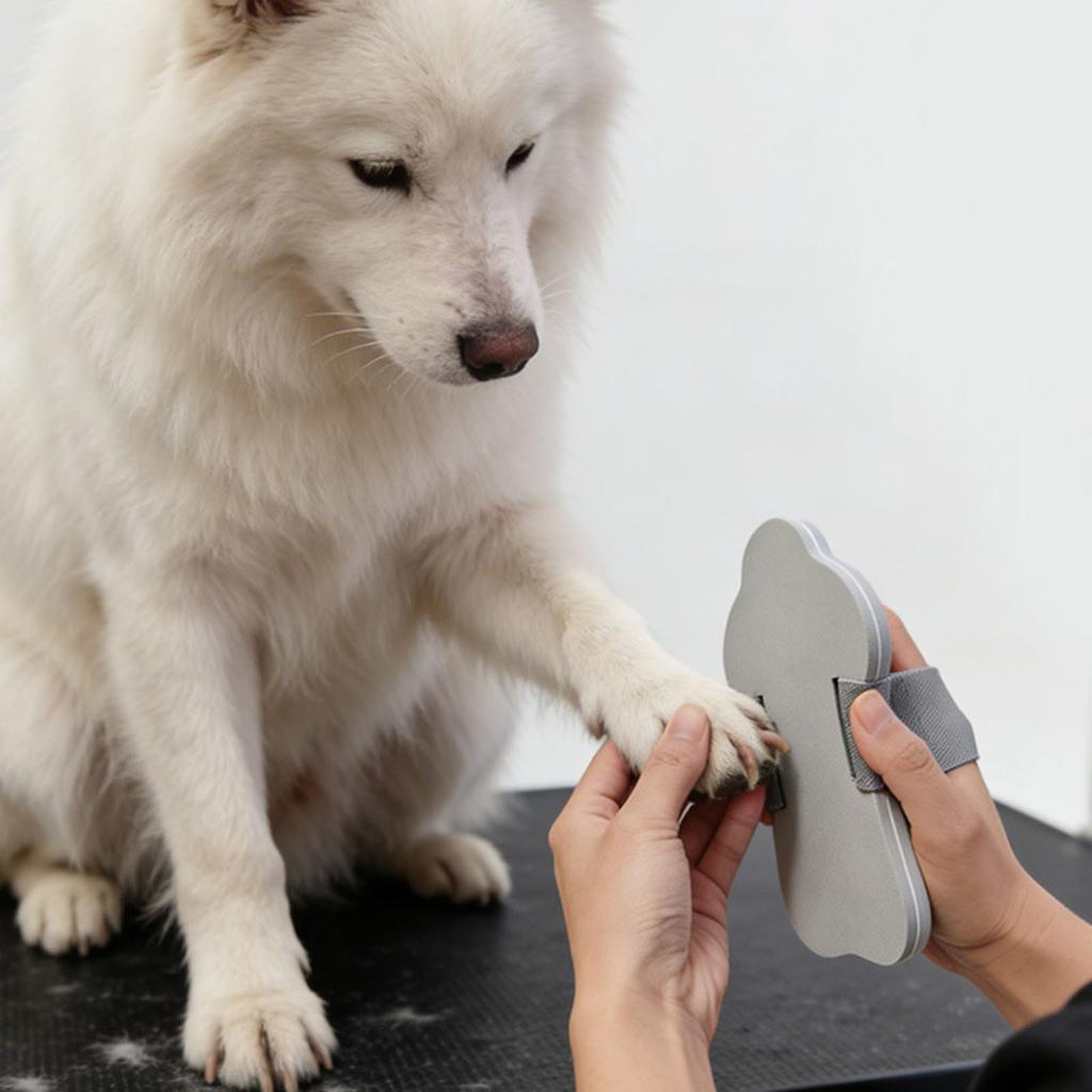 Pet Nail Ile Cats And Dog Nail Sharpening Board