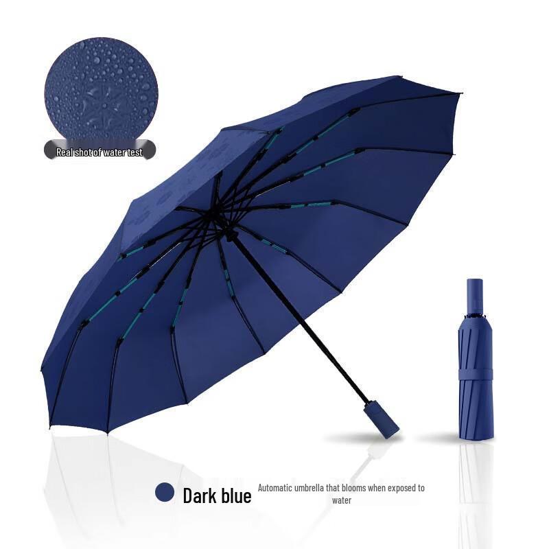 Automatic Folding 12-Rib Umbrella