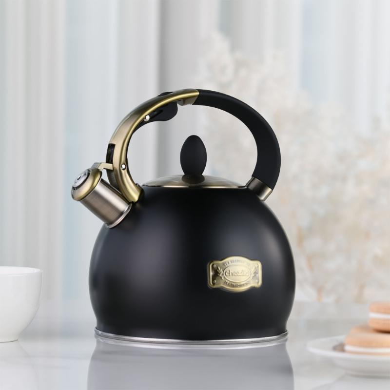 Modern Whistling Water Kettle 3L Large Capacity Ergonomic Handle Teakettle For Stovetop Gas Induction Cooktops