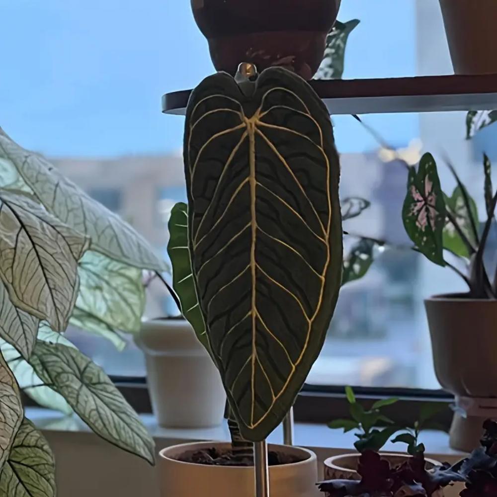 Super Absorbent and Quick-drying Kitchen Towel, Soft Coral Velvet, Tropical Leaf Print, Suitable for Bathtub, Dry Plate