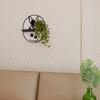 French Bulldog Oval Shelf Black